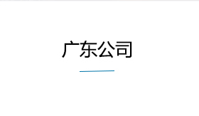 广东公司