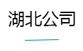 湖北公司
